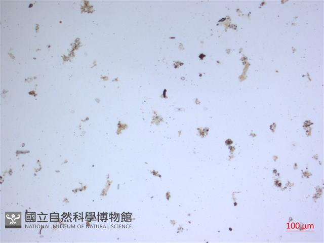 登錄號:A00004600藏品圖，第2張