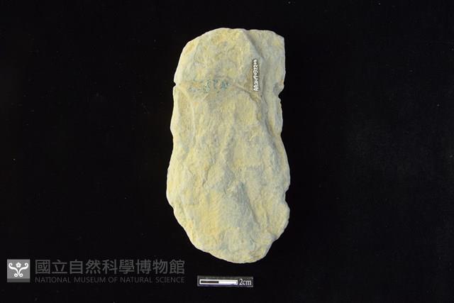 斧鋤形器藏品圖，第2張