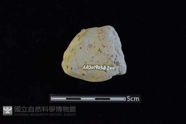 陶片藏品圖，第2張