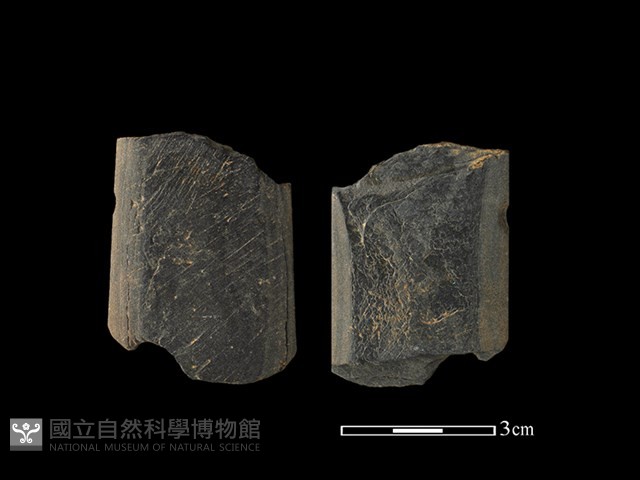 矛鏃形器藏品圖，第1張