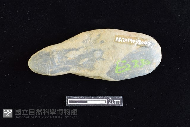 網墜藏品圖，第2張