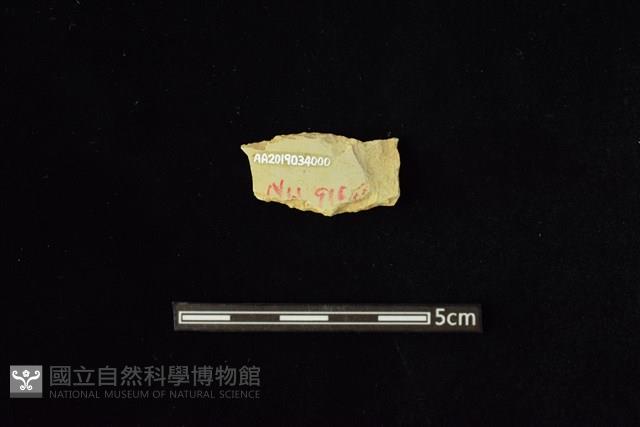 石材藏品圖，第2張