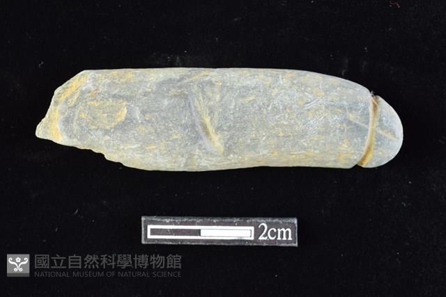 網墜藏品圖，第1張