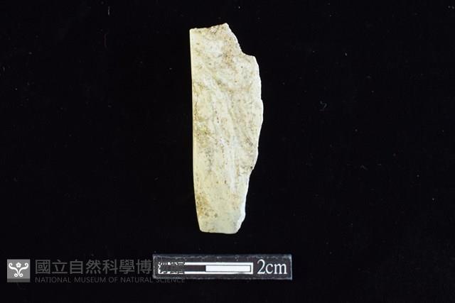 錛鑿形器藏品圖，第1張