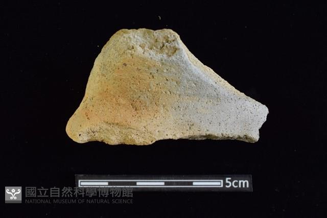 陶罐藏品圖，第1張