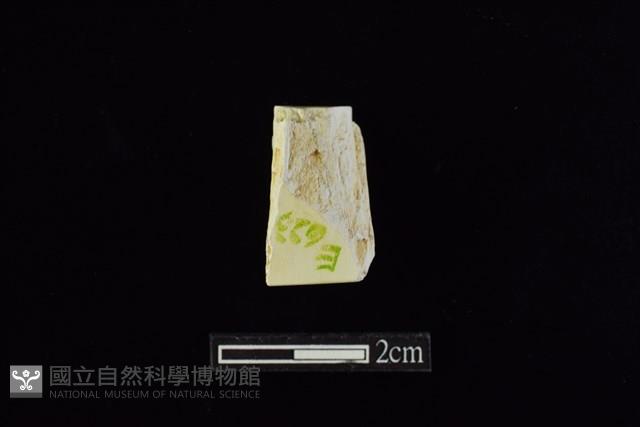 錛鑿形器藏品圖，第2張