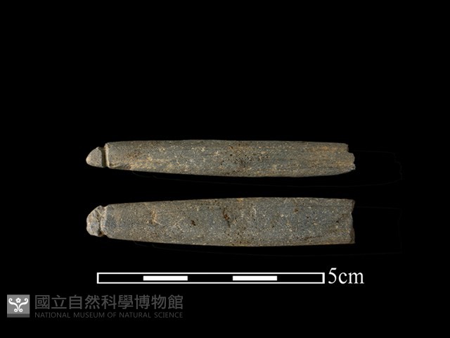 網墜藏品圖，第1張