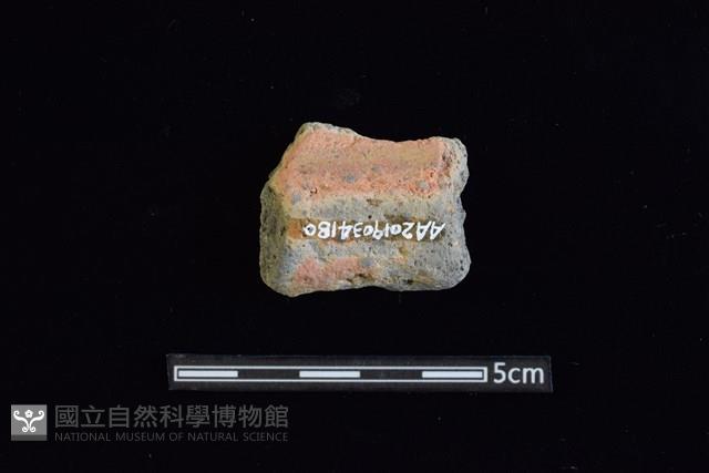 陶罐藏品圖，第2張