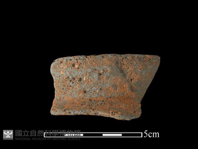 陶罐藏品圖，第1張