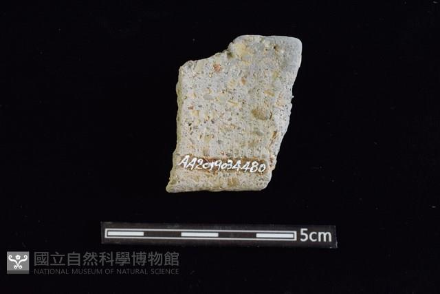 陶罐藏品圖，第2張