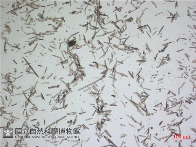 登錄號:A00004480藏品圖，第2張