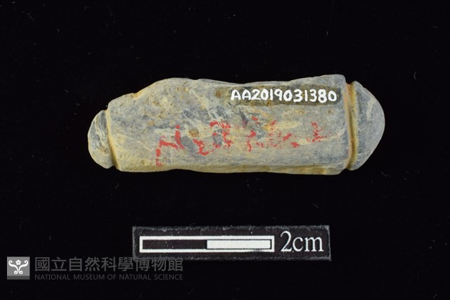 網墜藏品圖，第2張