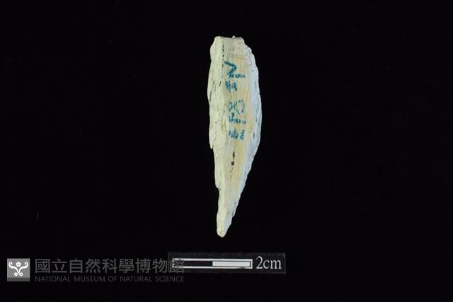 錛鑿形器藏品圖，第2張