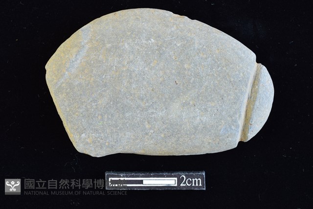 網墜藏品圖，第1張