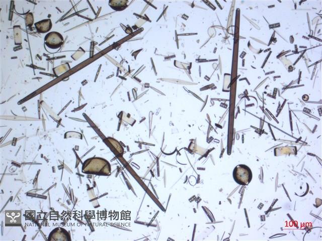 登錄號:A00004633藏品圖，第2張