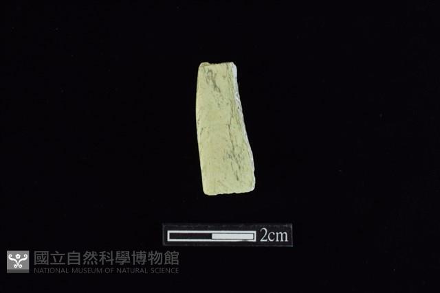 錛鑿形器藏品圖，第2張