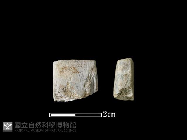 磨製石器藏品圖，第1張