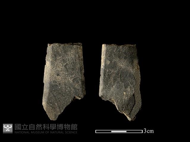 矛鏃形器藏品圖，第1張