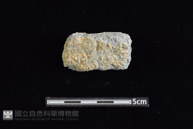 陶缽藏品圖，第1張