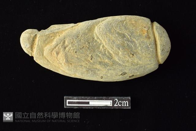 網墜藏品圖，第1張