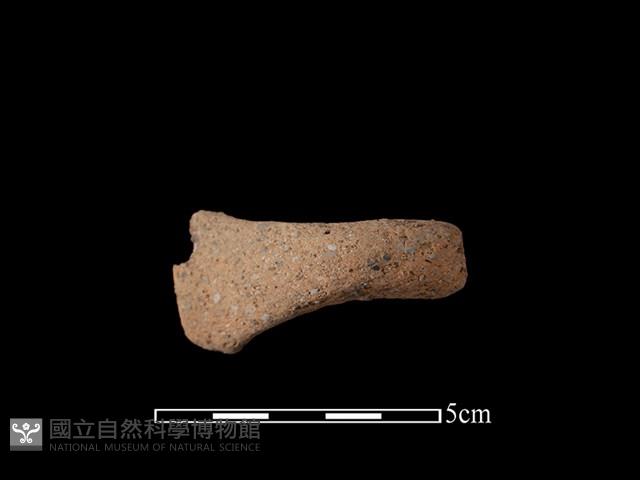 陶把藏品圖，第2張