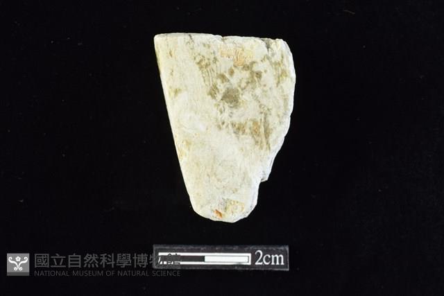 錛鑿形器藏品圖，第2張