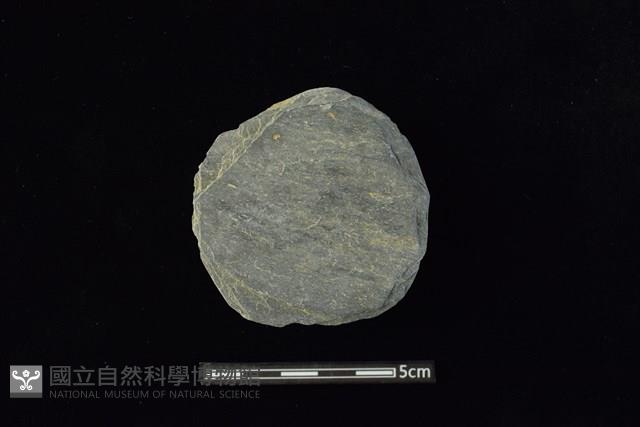 石圓片藏品圖，第1張