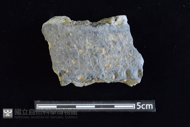 陶罐藏品圖，第1張