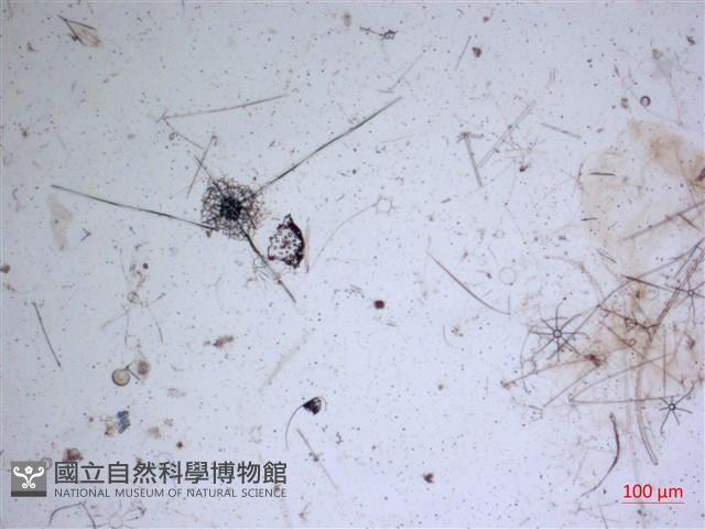 登錄號:A00004653藏品圖，第2張