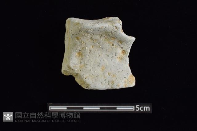 圈足藏品圖，第1張