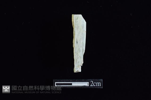 錛鑿形器藏品圖，第2張
