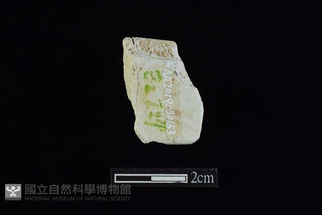 錛鑿形器藏品圖，第2張
