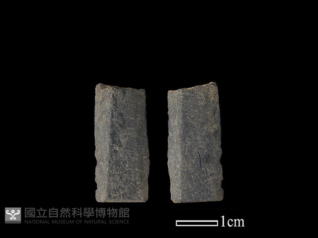 矛鏃形器藏品圖，第1張