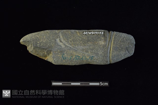網墜藏品圖，第2張