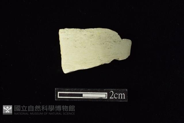 玉料藏品圖，第1張