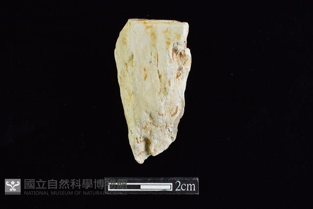 錛鑿形器藏品圖，第1張