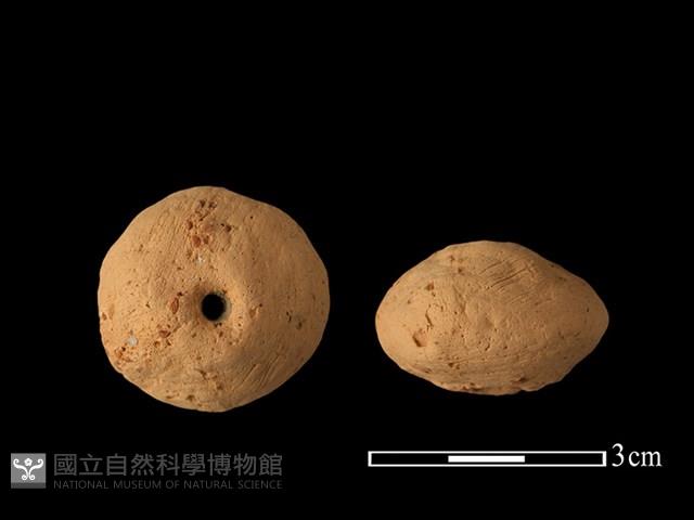 紡輪藏品圖，第1張