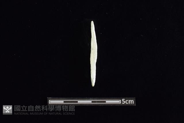 玉料藏品圖，第1張