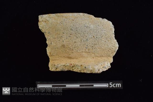 陶罐藏品圖，第1張