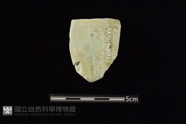 錛鑿形器藏品圖，第2張