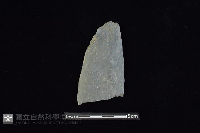 矛鏃形器藏品圖，第1張