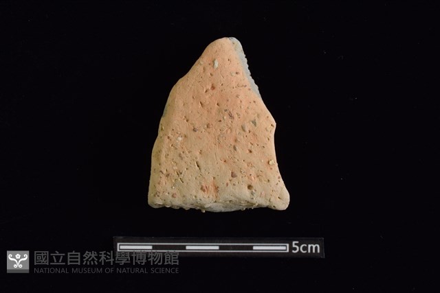 陶片藏品圖，第1張