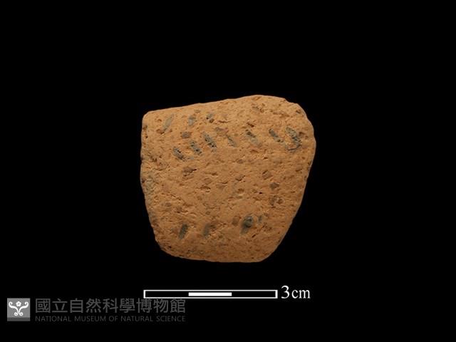 陶把藏品圖，第1張