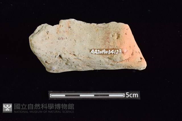 陶罐藏品圖，第2張