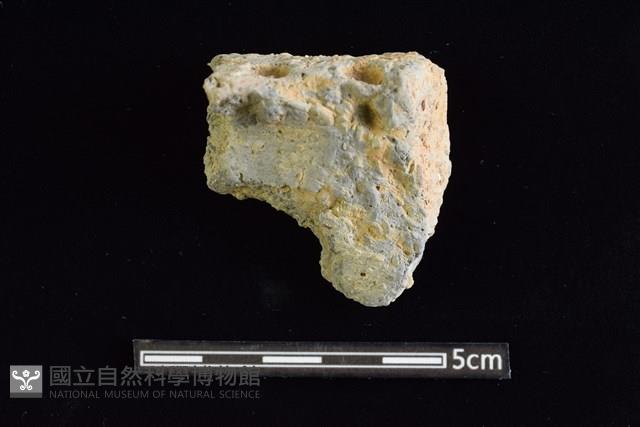 陶缽藏品圖，第1張