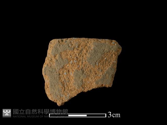 陶罐藏品圖，第1張