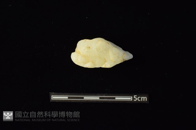 石材藏品圖，第1張