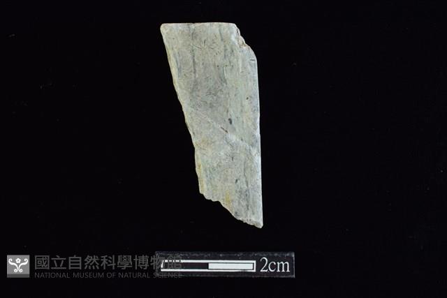 錛鑿形器藏品圖，第1張