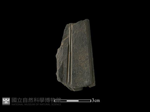 帶加工痕石材藏品圖，第1張