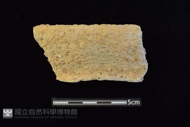 陶罐藏品圖，第1張